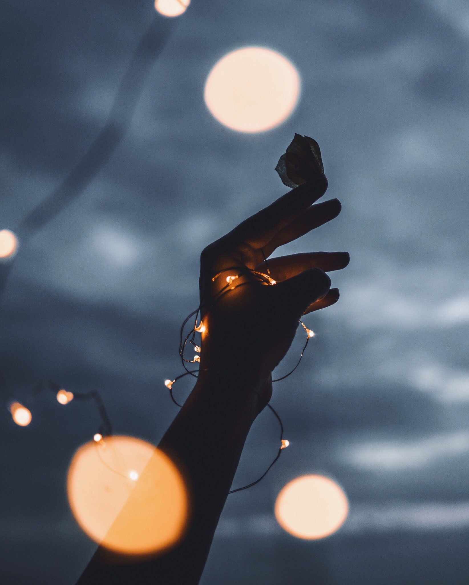 natalya-letunova-Xsb_gxToX3w-unsplash